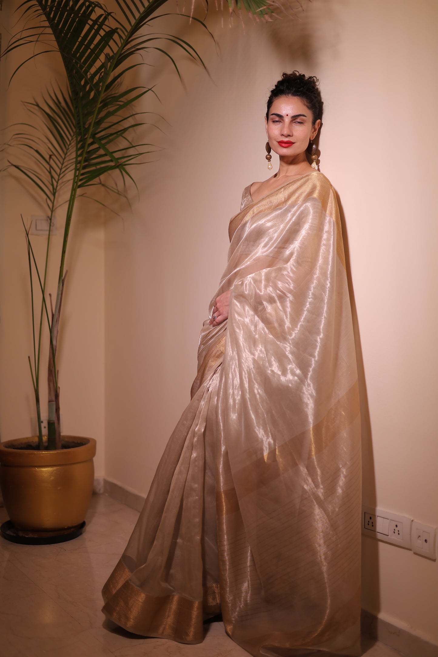 Champagne maheshwari tissue silk saree