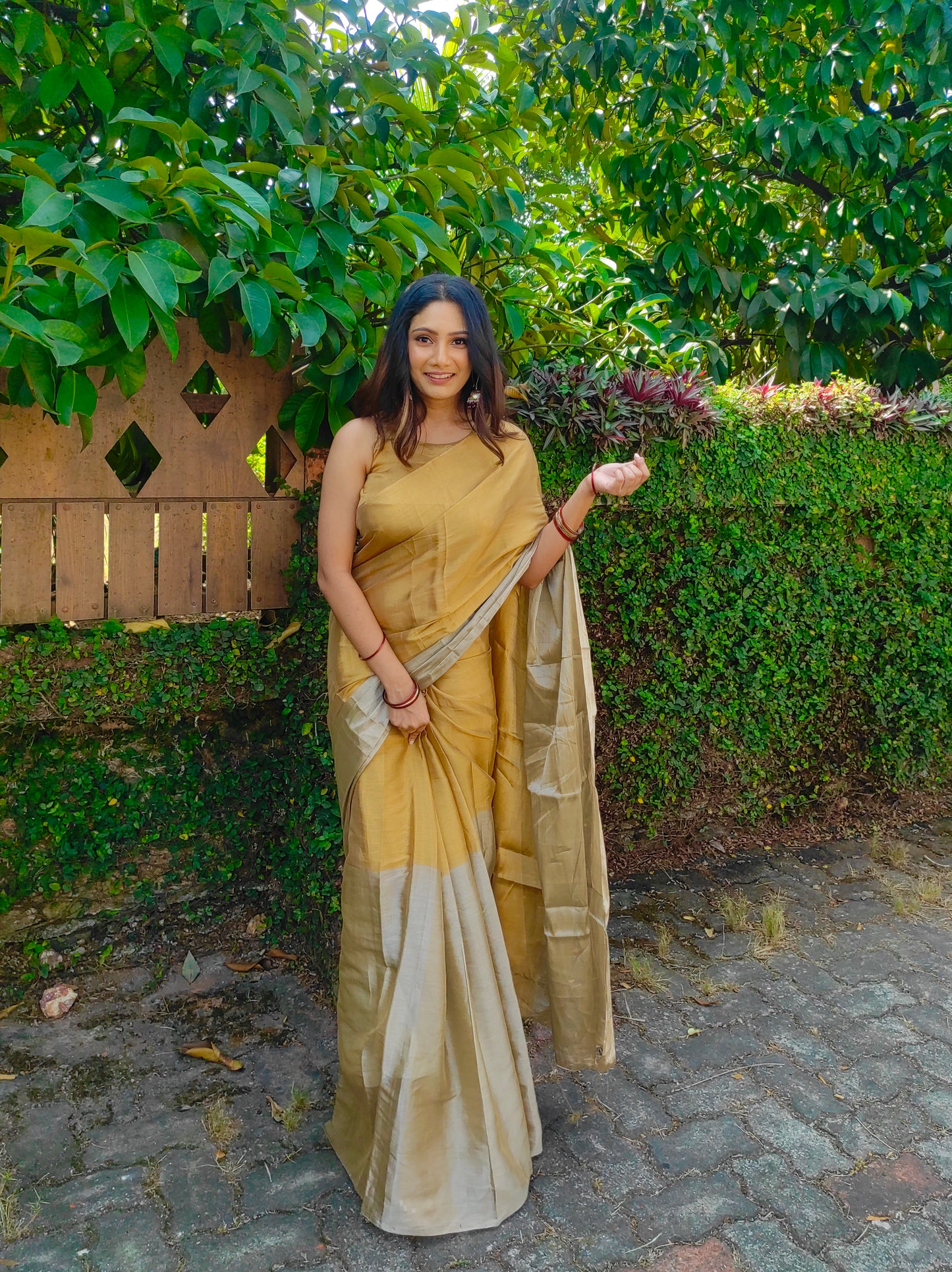 Gold and silver chanderi tissue silk saree