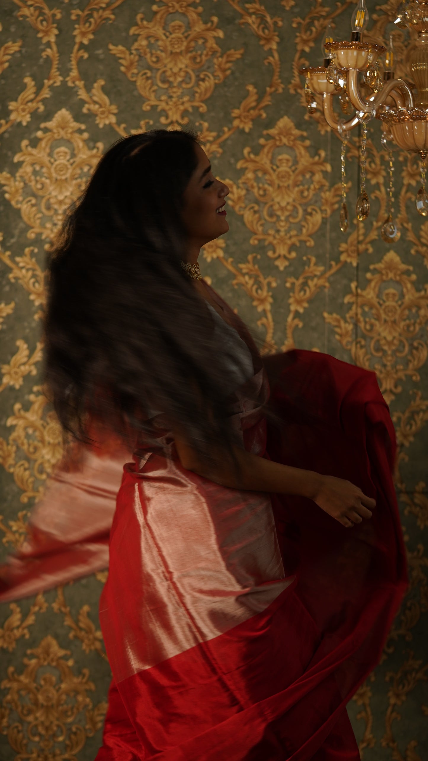 Silver and red chanderi tissue silk saree