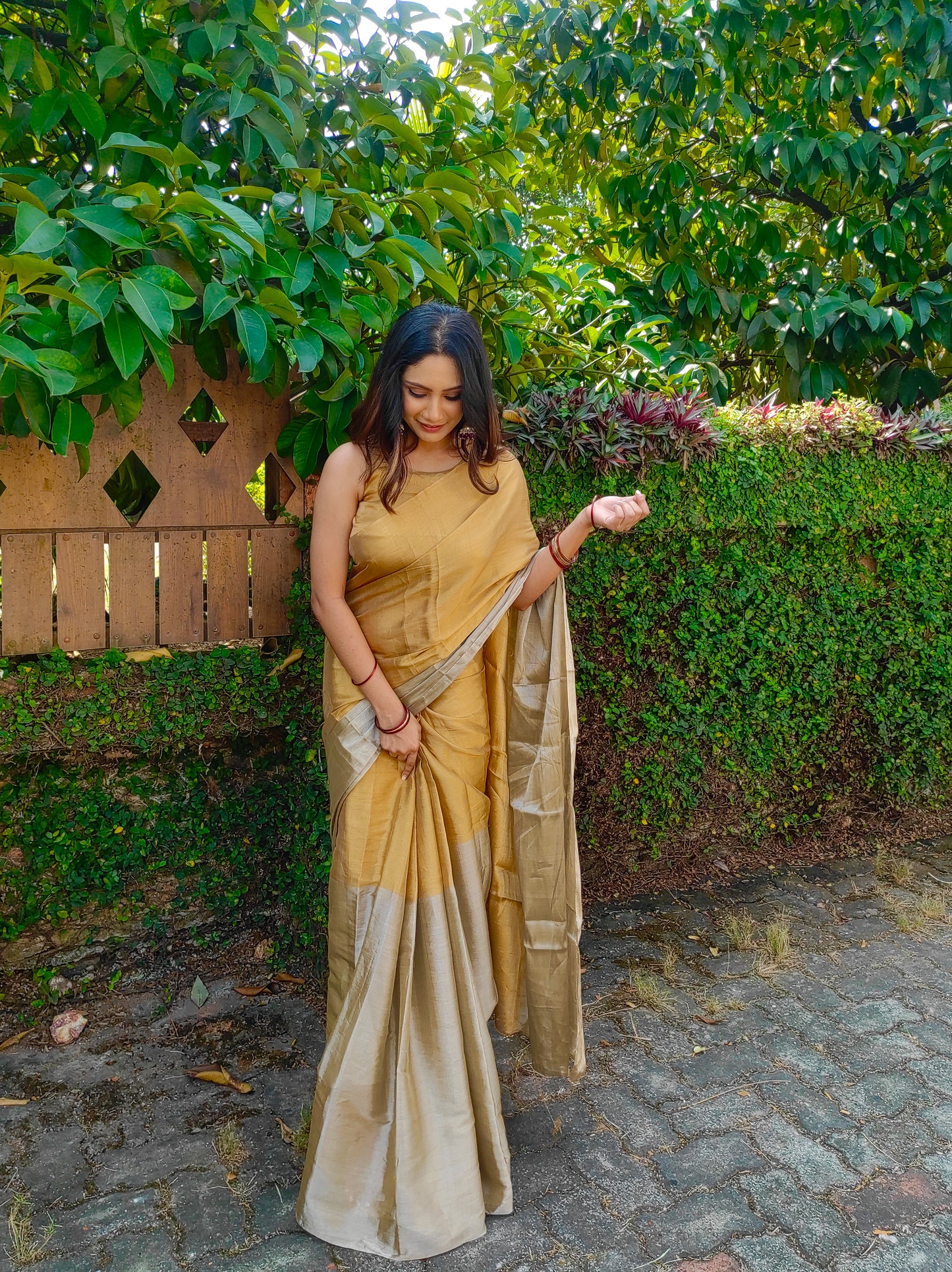Gold and silver chanderi tissue silk saree