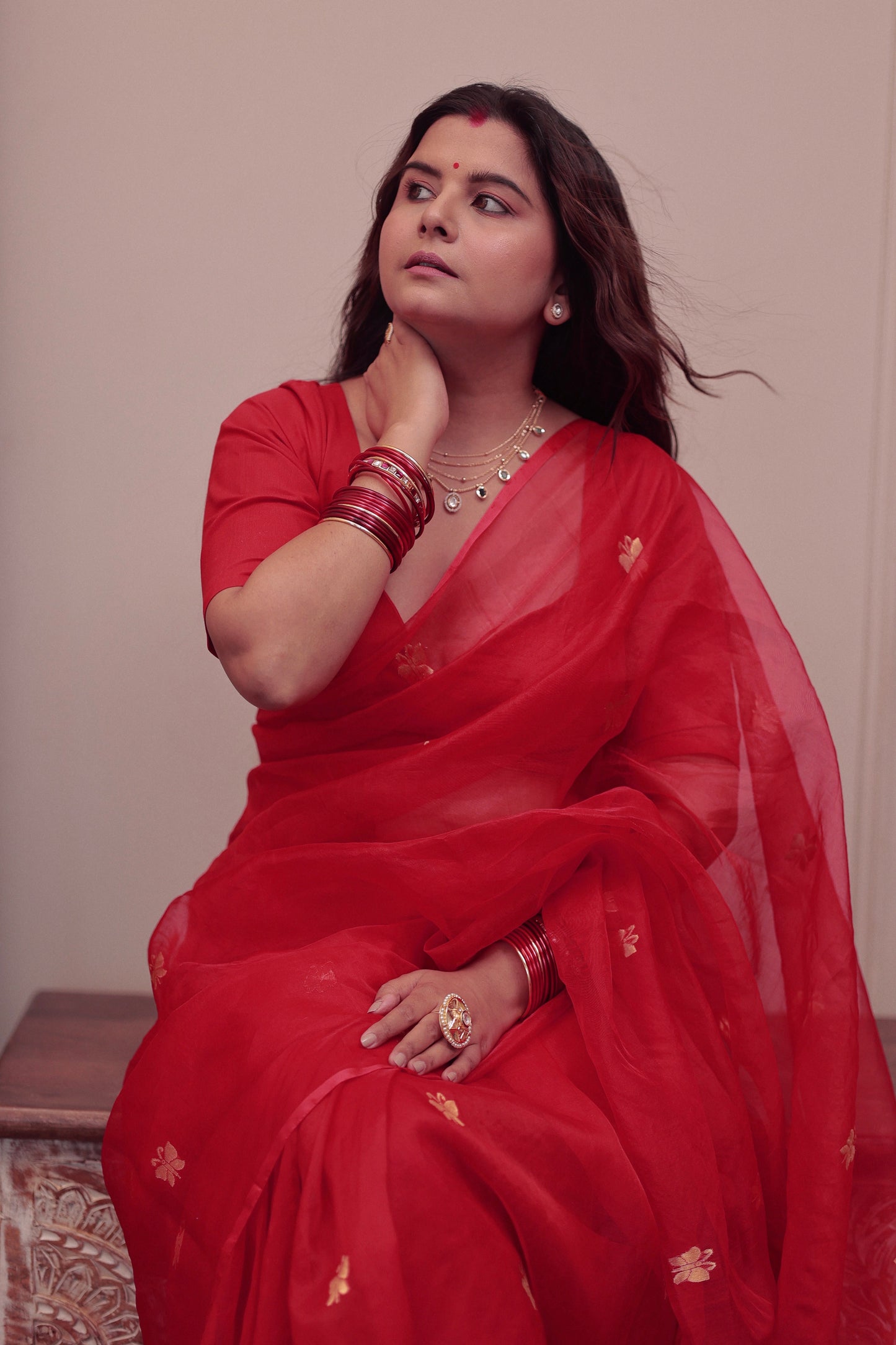 Red chanderi organza silk saree with butterfly motifs all over
