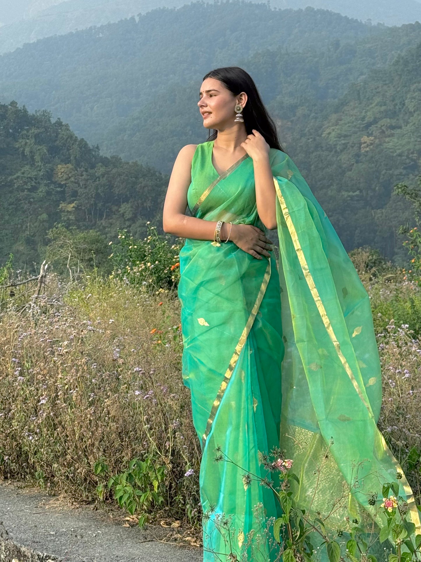 Green and gold dual tone chanderi organza silk saree with jhumka motifs all over
