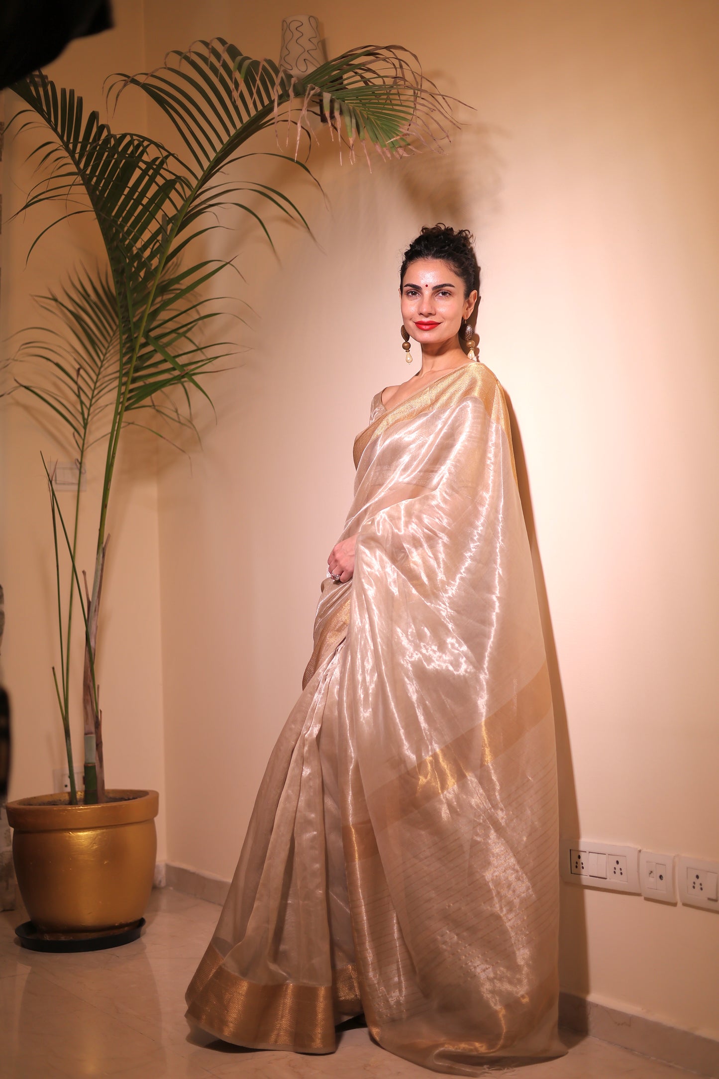 Champagne maheshwari tissue silk saree