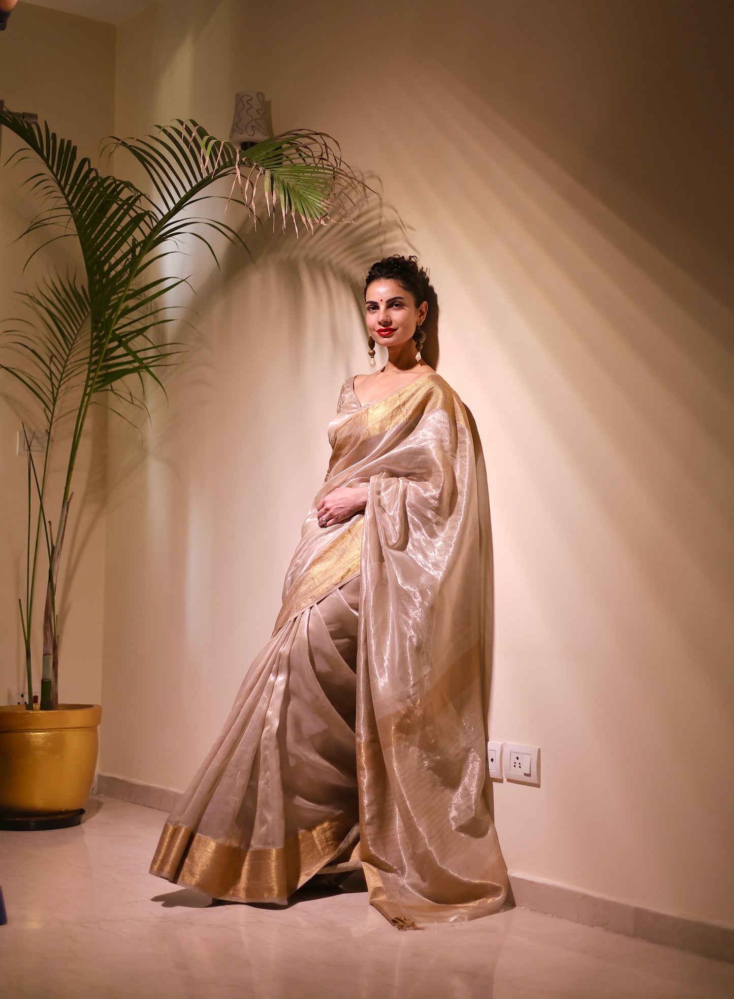 Champagne maheshwari tissue silk saree
