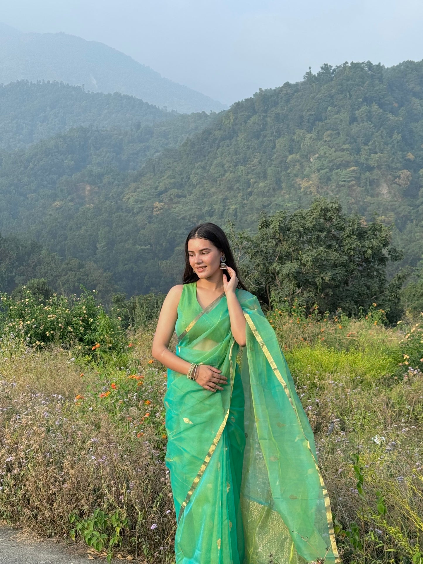 Green and gold dual tone chanderi organza silk saree with jhumka motifs all over