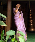 Mauve Chanderi silk saree with zari bootis all over