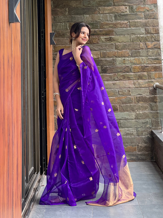 Dark purple chanderi organza silk saree with butterfly motifs all over