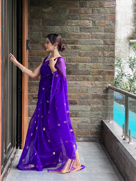 Dark purple chanderi organza silk saree with butterfly motifs all over