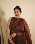 Chocolate Brown Maheshwari Saree with Zari Lines all over