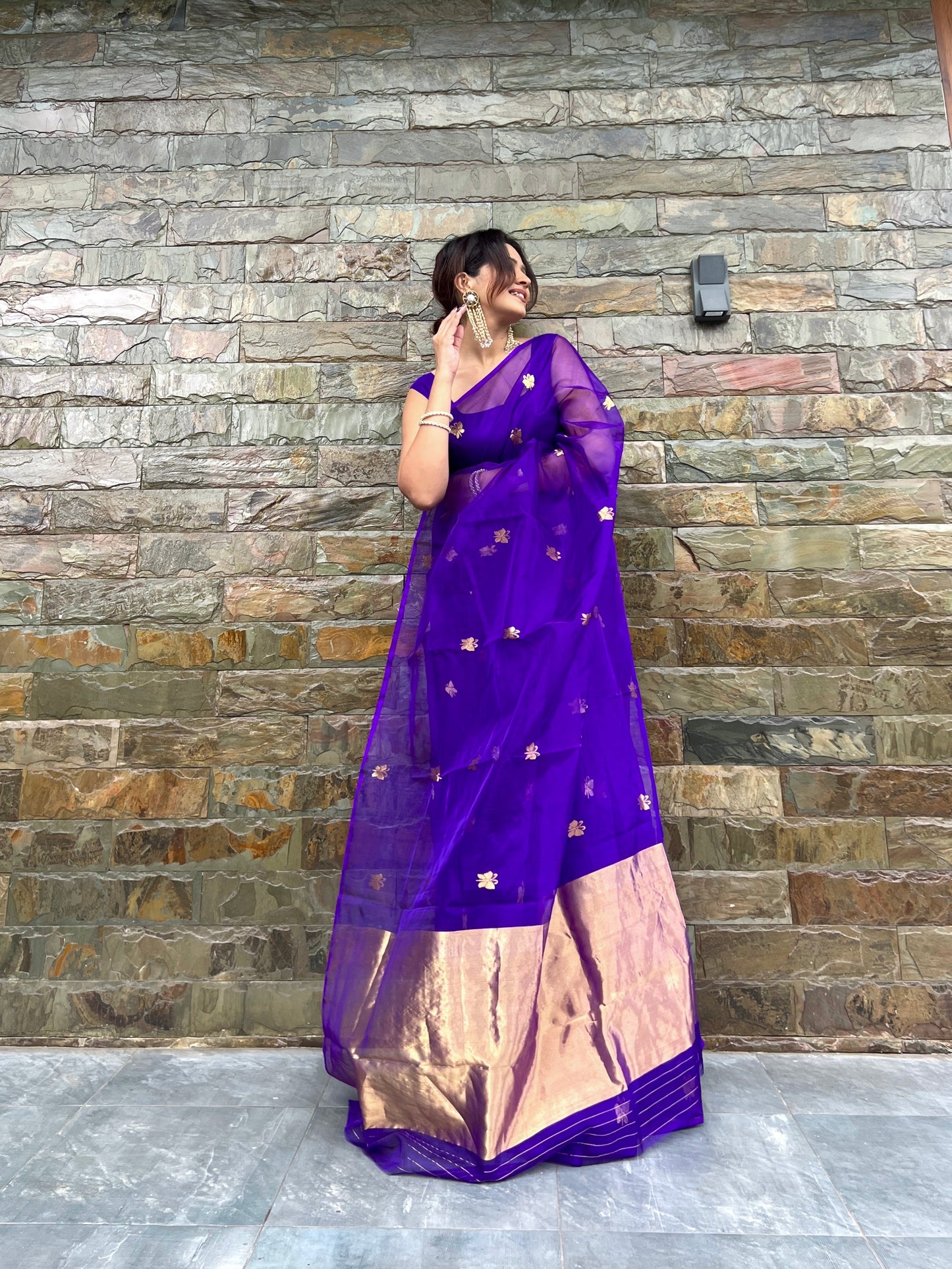 Dark purple chanderi organza silk saree with butterfly motifs all over