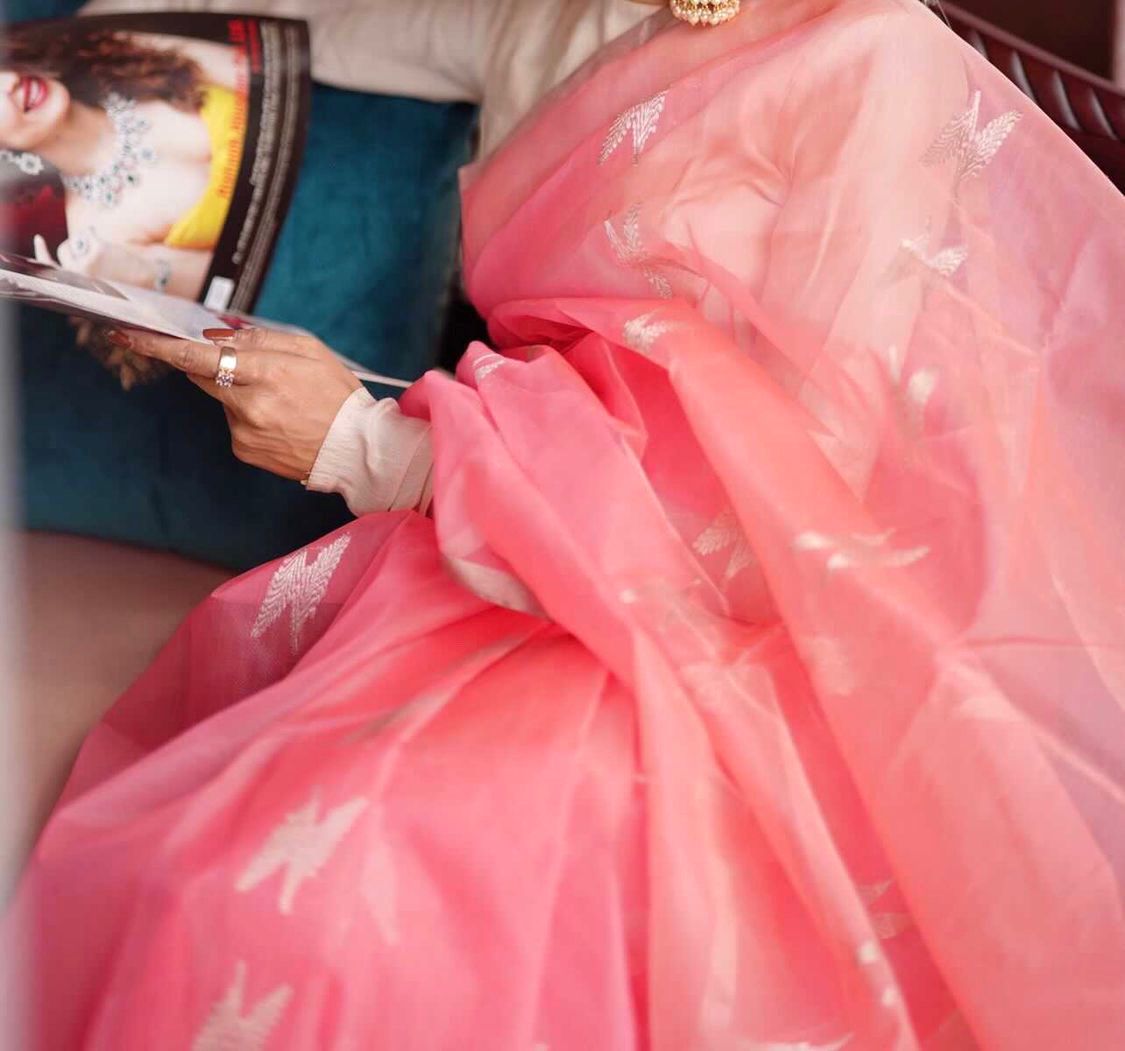 Peachish pink Chanderi organza silk with feather motifs all over