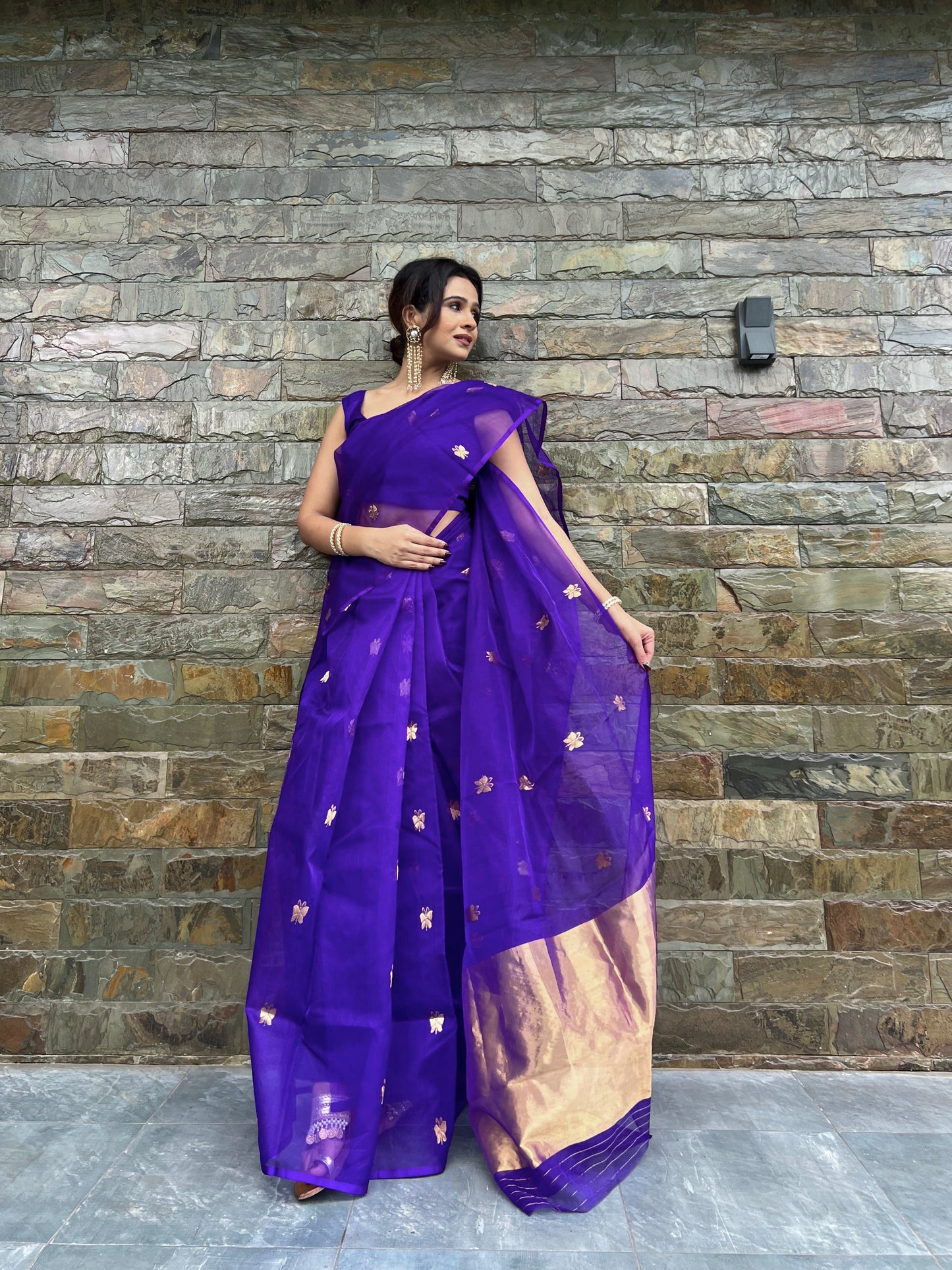 Dark purple chanderi organza silk saree with butterfly motifs all over