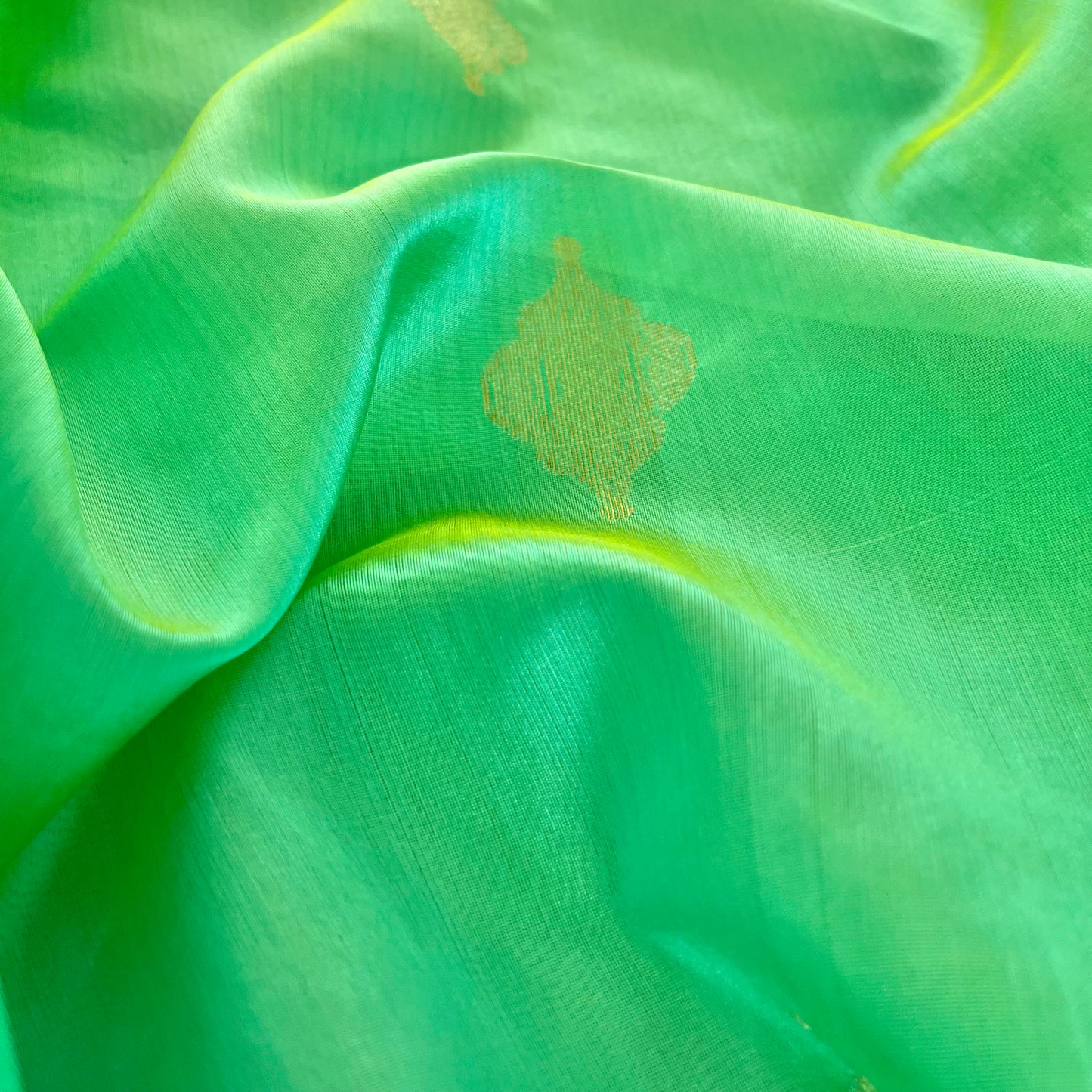 Sea green dual tone Chanderi silk saree with jhoomar motifs all over