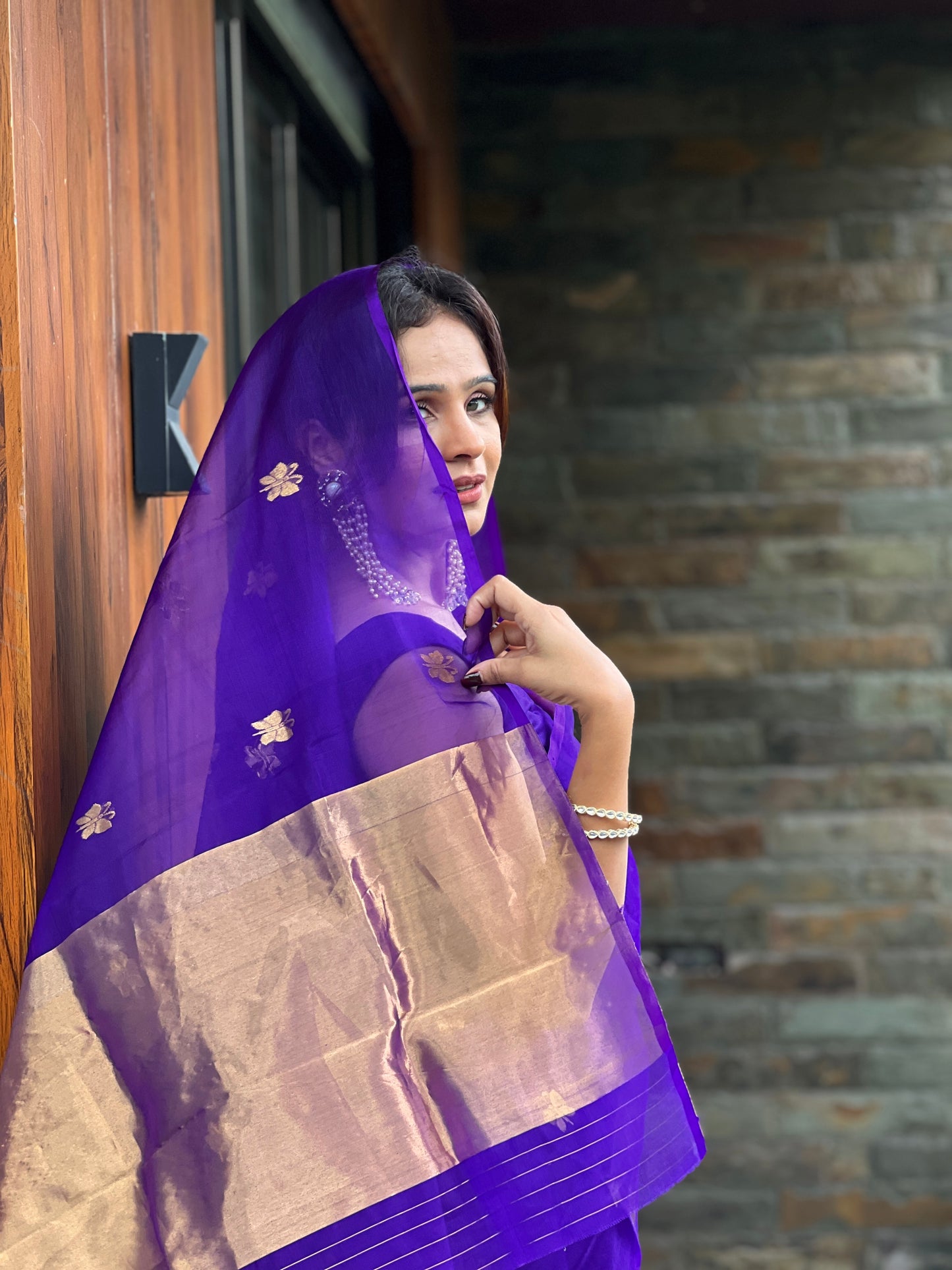 Dark purple chanderi organza silk saree with butterfly motifs all over