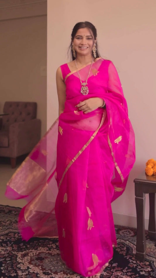 Pink chanderi organza silk saree with bird motifs all over