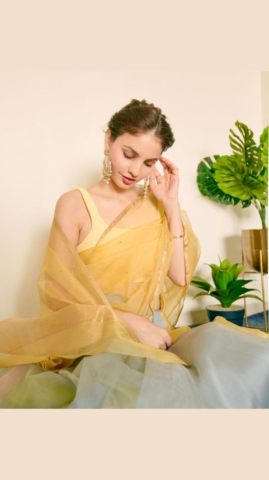 Gold Olive & Grey Chanderi Organza Silk Saree with Zari Bootis all over